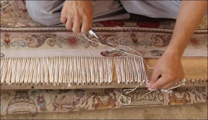 ریشه زنی